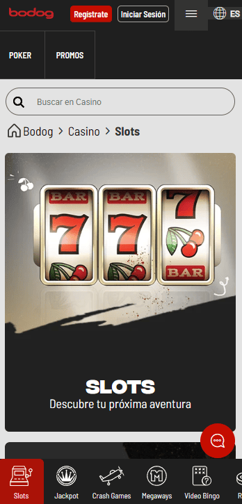 Bodog app